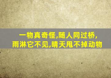 一物真奇怪,随人同过桥,雨淋它不见,晴天甩不掉动物