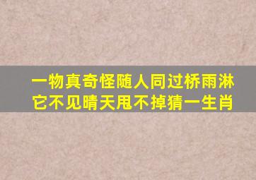 一物真奇怪随人同过桥雨淋它不见晴天甩不掉猜一生肖