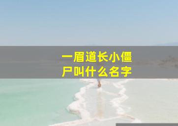 一眉道长小僵尸叫什么名字