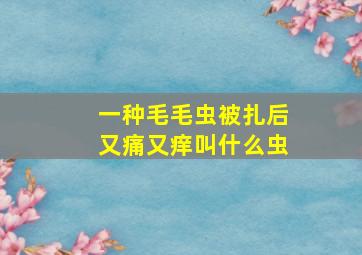 一种毛毛虫被扎后又痛又痒叫什么虫