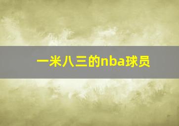 一米八三的nba球员