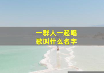 一群人一起唱歌叫什么名字