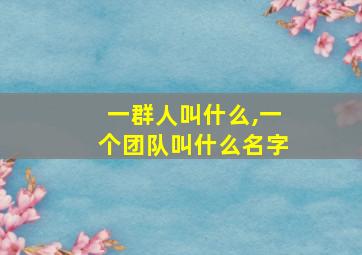 一群人叫什么,一个团队叫什么名字