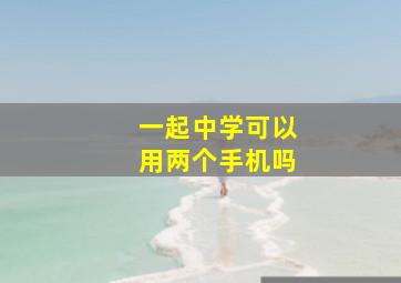 一起中学可以用两个手机吗