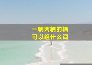 一辆两辆的辆可以组什么词