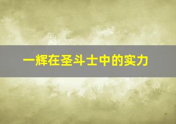 一辉在圣斗士中的实力