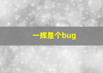 一辉是个bug