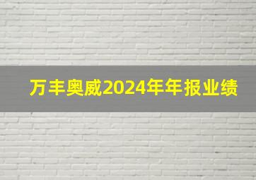 万丰奥威2024年年报业绩