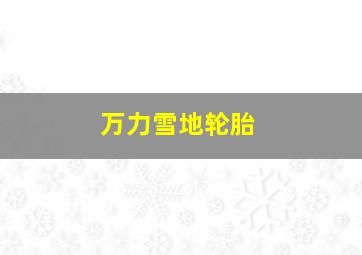 万力雪地轮胎