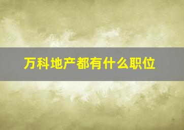 万科地产都有什么职位