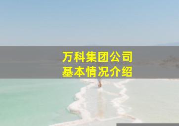 万科集团公司基本情况介绍