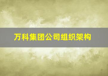 万科集团公司组织架构