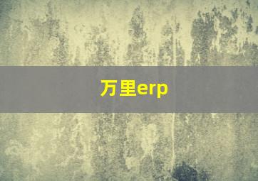 万里erp