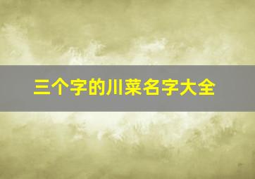 三个字的川菜名字大全