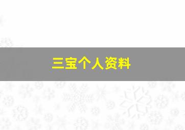 三宝个人资料