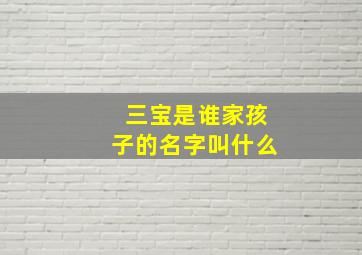 三宝是谁家孩子的名字叫什么