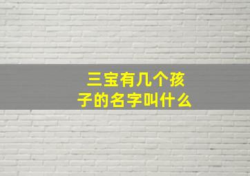 三宝有几个孩子的名字叫什么