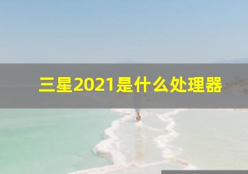 三星2021是什么处理器