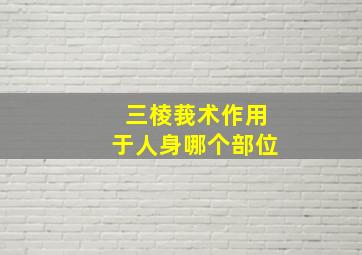 三棱莪术作用于人身哪个部位