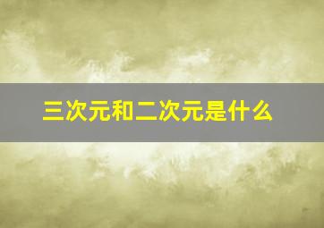 三次元和二次元是什么