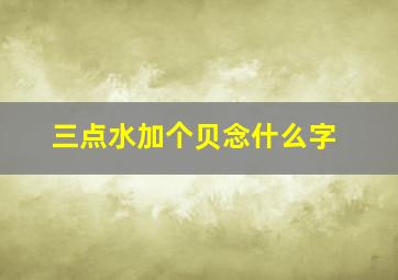 三点水加个贝念什么字