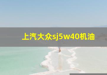 上汽大众sj5w40机油