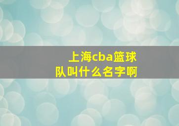 上海cba篮球队叫什么名字啊