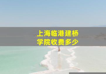 上海临港建桥学院收费多少