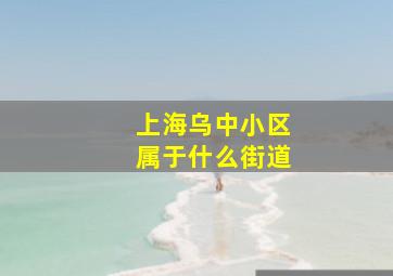 上海乌中小区属于什么街道