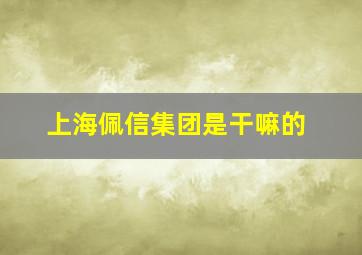 上海佩信集团是干嘛的