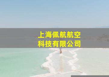 上海佩航航空科技有限公司