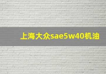 上海大众sae5w40机油