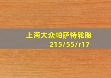 上海大众帕萨特轮胎215/55/r17