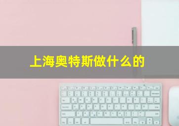 上海奥特斯做什么的