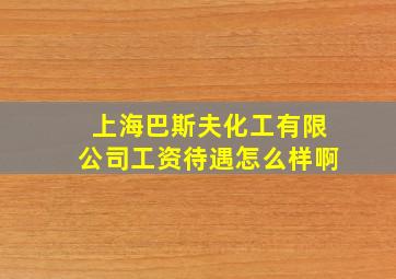 上海巴斯夫化工有限公司工资待遇怎么样啊