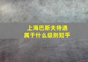 上海巴斯夫待遇属于什么级别知乎