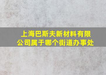 上海巴斯夫新材料有限公司属于哪个街道办事处