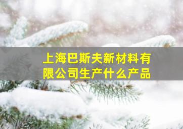 上海巴斯夫新材料有限公司生产什么产品