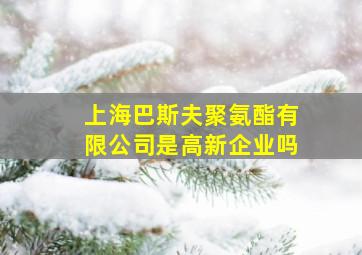 上海巴斯夫聚氨酯有限公司是高新企业吗