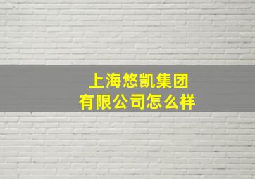 上海悠凯集团有限公司怎么样