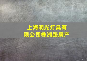 上海明光灯具有限公司株洲路房产