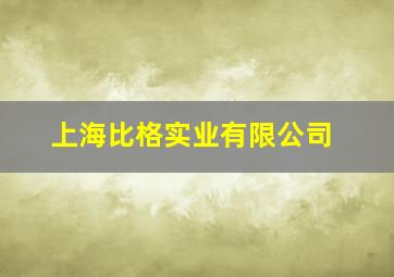 上海比格实业有限公司