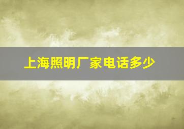 上海照明厂家电话多少