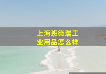 上海班德瑞工业用品怎么样