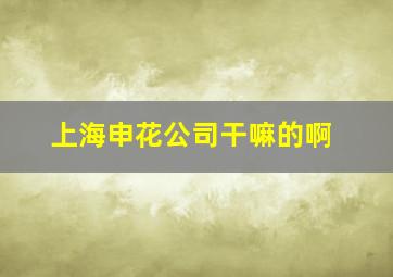 上海申花公司干嘛的啊