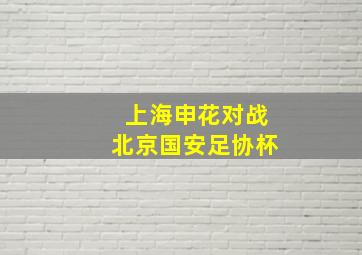 上海申花对战北京国安足协杯