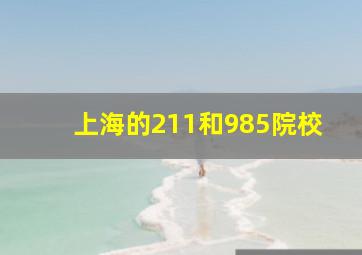 上海的211和985院校