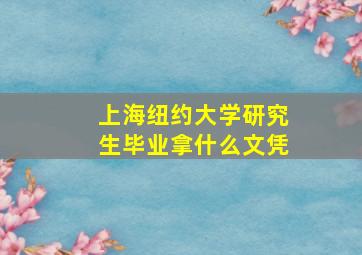 上海纽约大学研究生毕业拿什么文凭