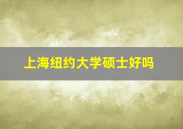 上海纽约大学硕士好吗