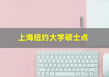 上海纽约大学硕士点